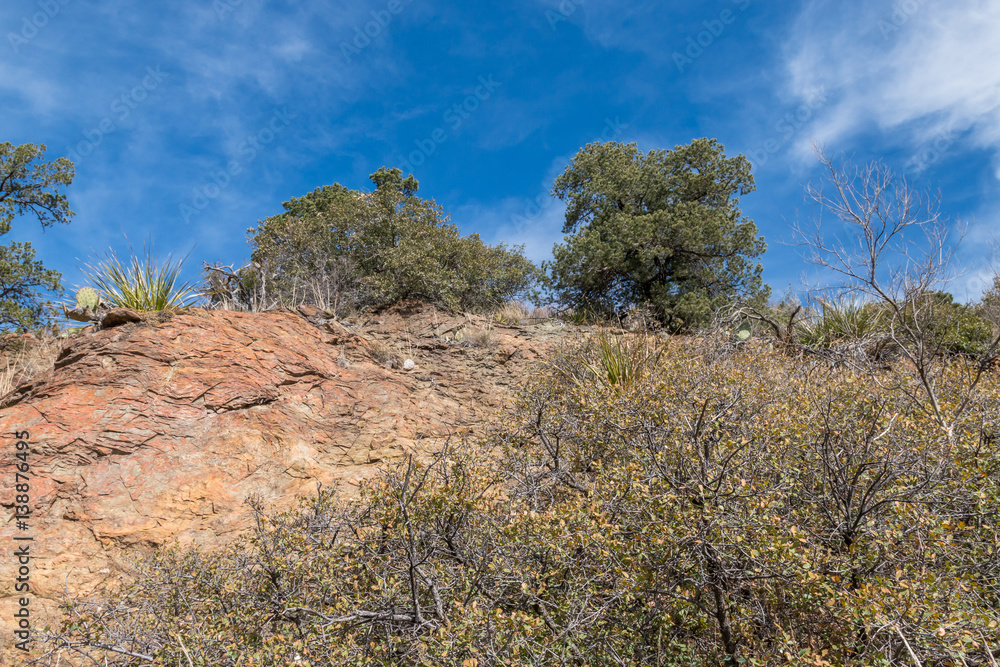 Obraz premium Morning Climb