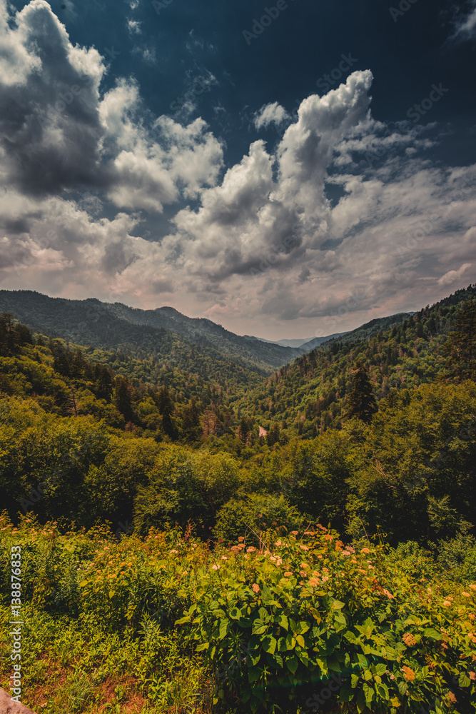 Smokey Mountains Smokey Mountains