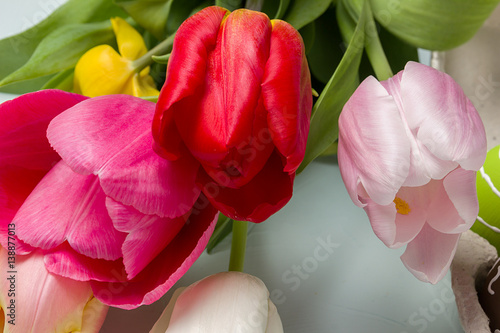 Fototapeta Naklejka Na Ścianę i Meble -  Bouquet of spring tulips closeup on a light blue background