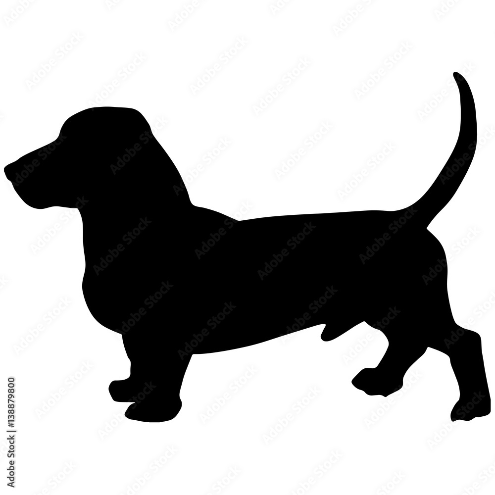 Silhouette of a dog.Vector illustration 