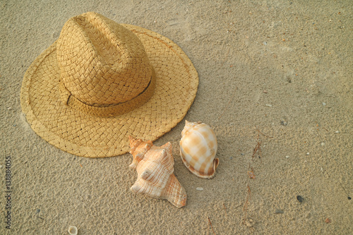 Light brown straw hat on the sand beach with two types of beautiful natural seashells