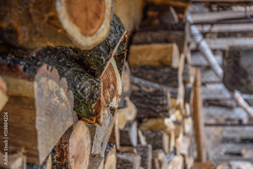 Wallpaper Mural Chopped woods ready for the winter Torontodigital.ca