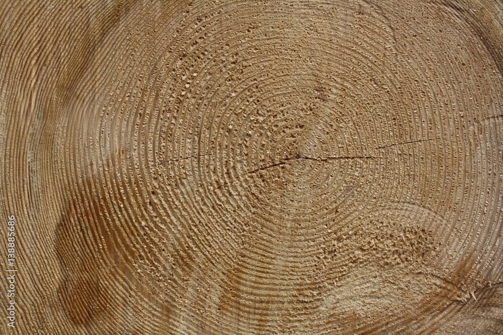 Naklejka premium Background Wood Stone Sky