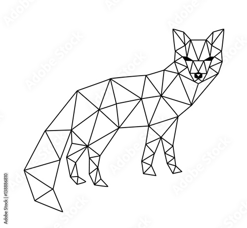 polygonal fox