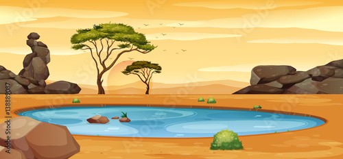Scene with water hole on the ground