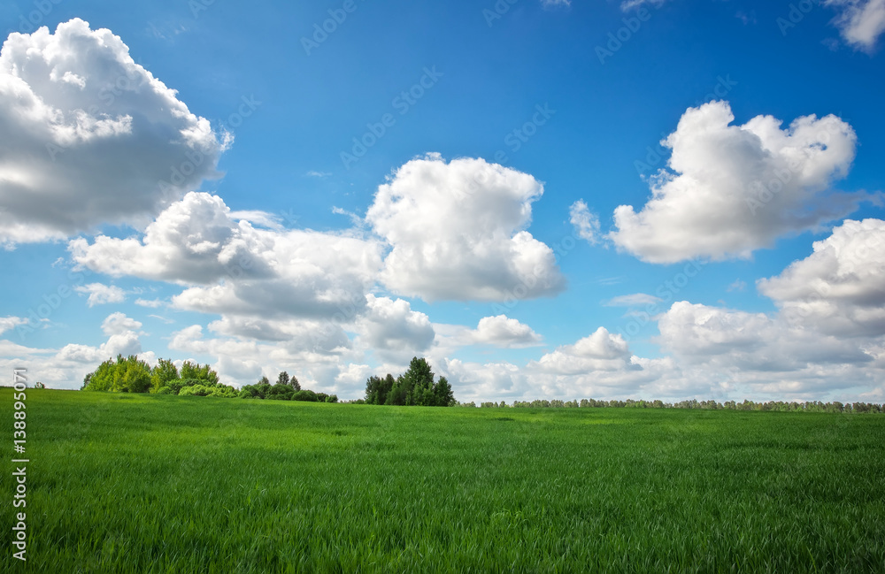 Beautiful green field and blue cloudy sky. Beautiful green field and blue cloudy sky.
