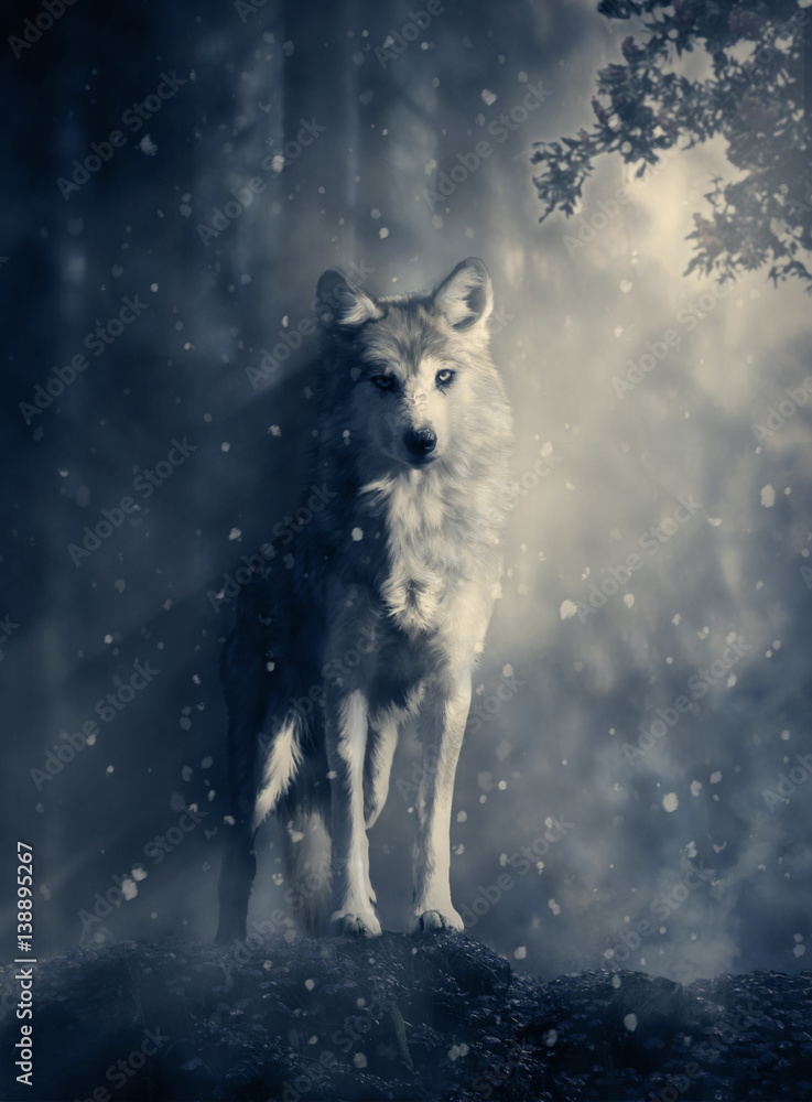 Fantasy wolf in the forest - obrazy, fototapety, plakaty 
