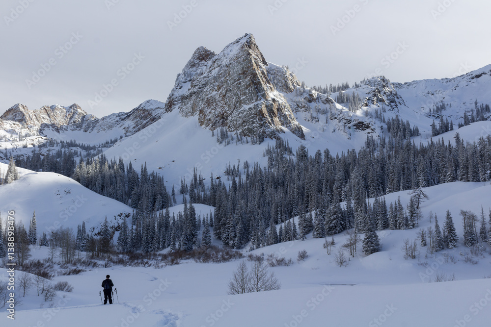Naklejka premium Snowshoeing in the mountains
