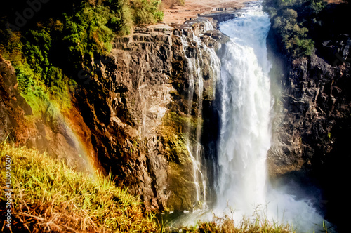 Landscape in Victoria Falls