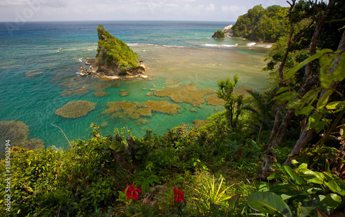 fabulous reef view in dominica