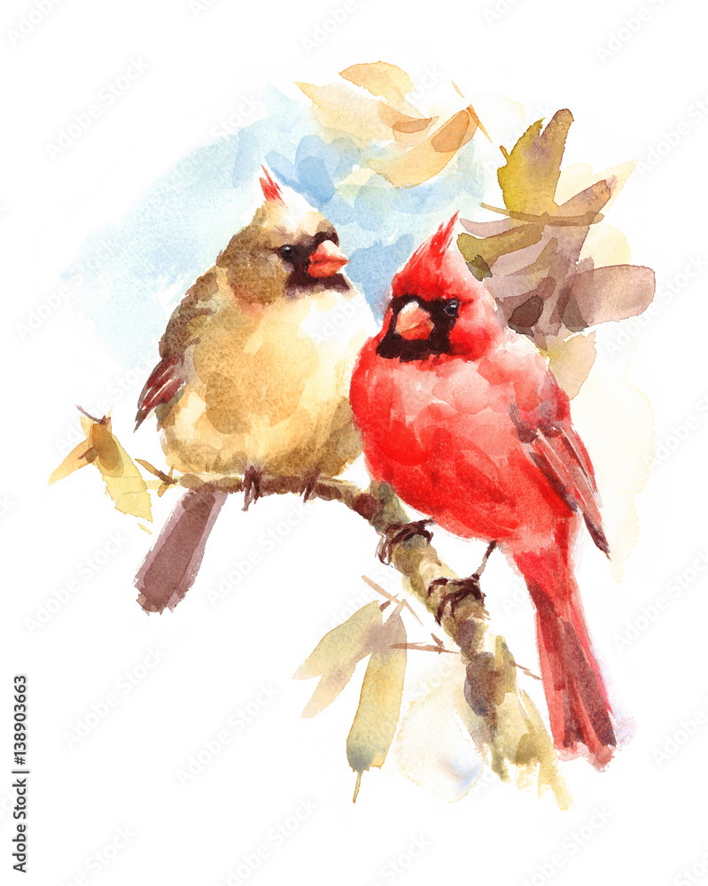 Obraz Male and Female Cardinals sitting on the Branch Two Birds Watercolor Hand Painted Greeting Card Fall Illustration