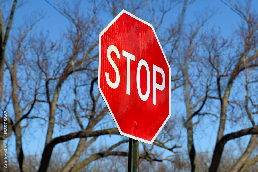 Stop Traffic Sign  On Country Road