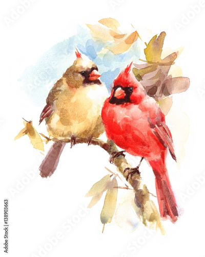 Male and Female Cardinals sitting on the Branch Two Birds Watercolor Hand Painted Greeting Card Fall Illustration