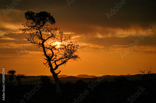 Sunset landscape in Africa