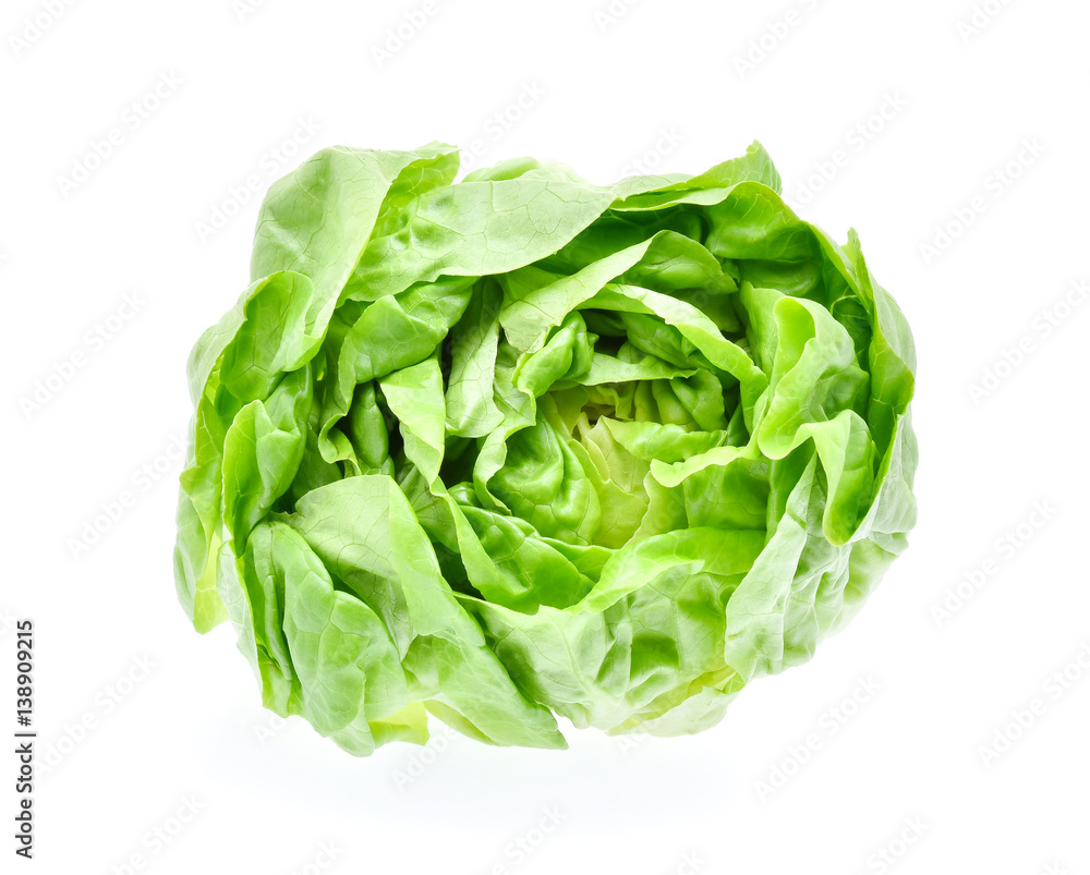 Butterhead lettuce isolated on white background Butterhead lettuce isolated on white background