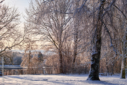 Garden covered in new fallen snow