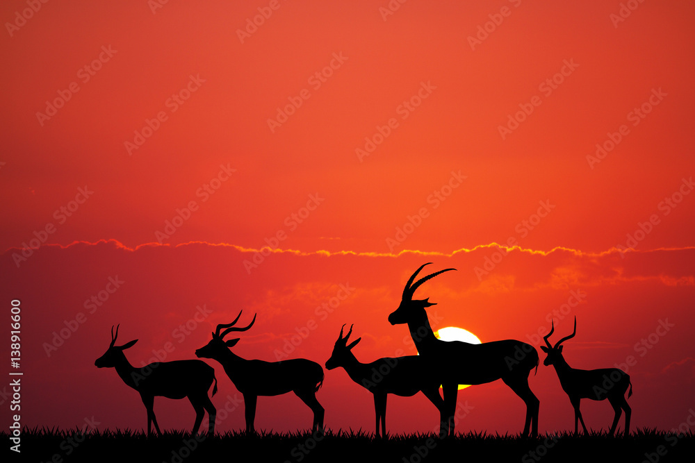 gazelle silhouette in African landscape