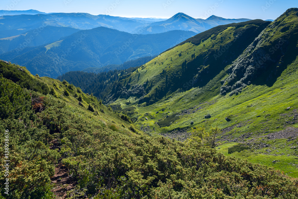 Fototapeta premium Gorge in the green hills