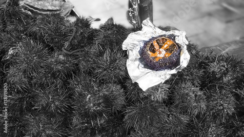 Colorful Sea Urchin in a black and white picture