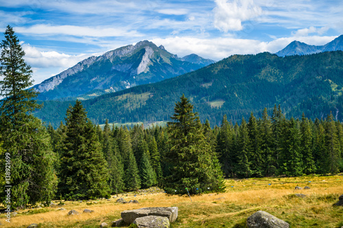Fototapeta Naklejka Na Ścianę i Meble -  Rusinowa Polana 