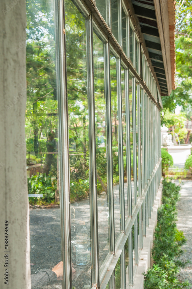Green garden and plant on window reflection. Green garden and plant on window reflection.
