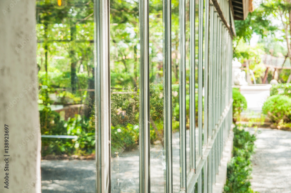 Green garden and plant on window reflection. Green garden and plant on window reflection.