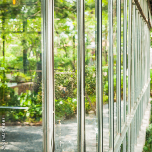 Green garden and plant on window reflection.