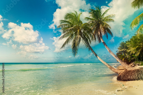 Fototapeta Naklejka Na Ścianę i Meble -  Beach with coconut palm,  uninhabited tropical island