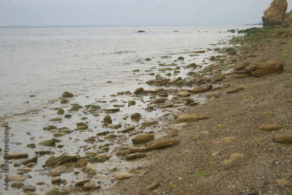 Marine stone beach with seaweed on the shore
