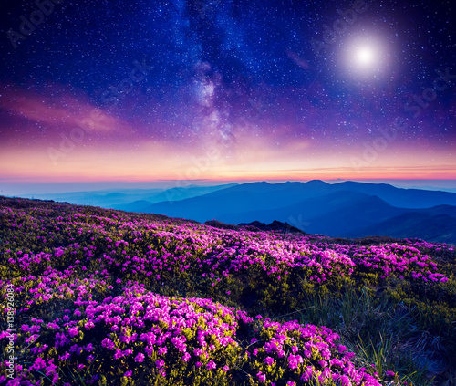 starry night in mountain