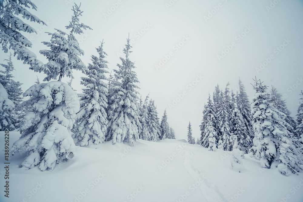 Majestic winter landscape