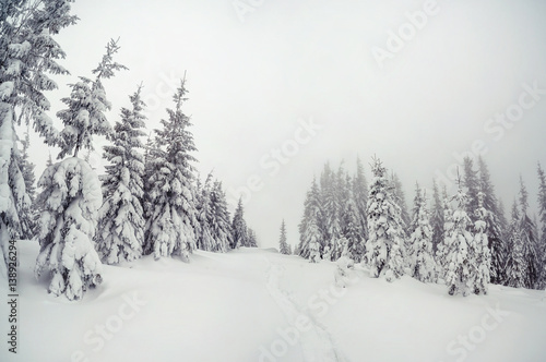 Majestic winter landscape © Leonid Tit
