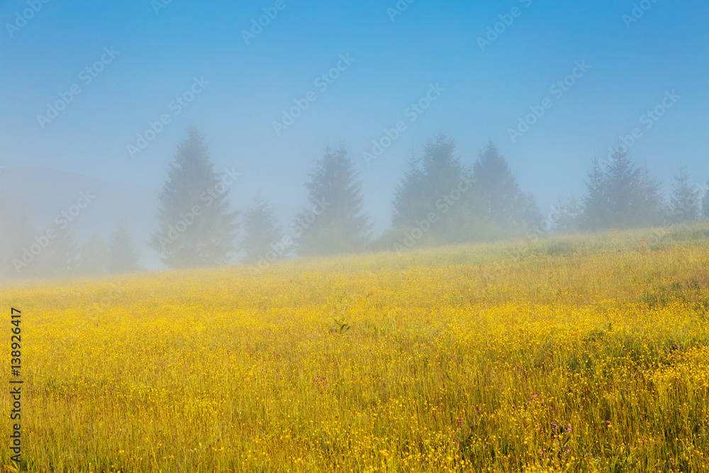 Obraz premium beautiful alpine landscape