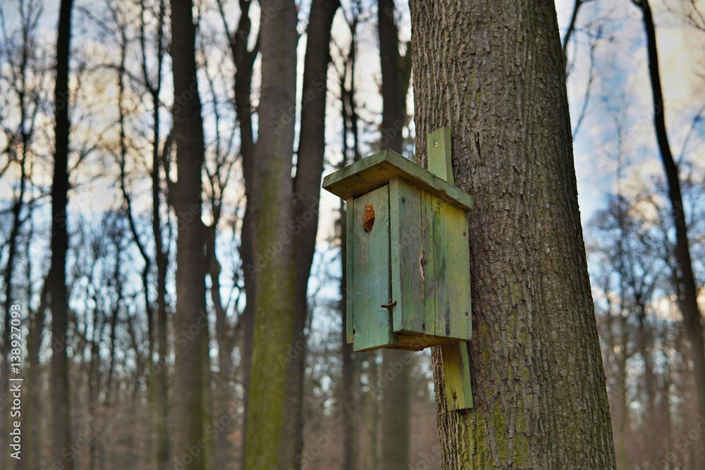 Green bird booth (bird house) hanging on a tree as a symbol of animal feeding and species protection of animals during the winter and cold periods