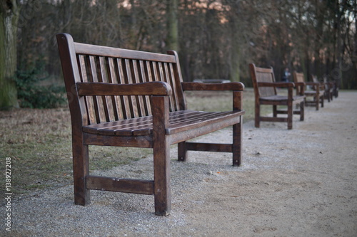 Row of wooden benches in park as a symbol of relaxing and having a rest 