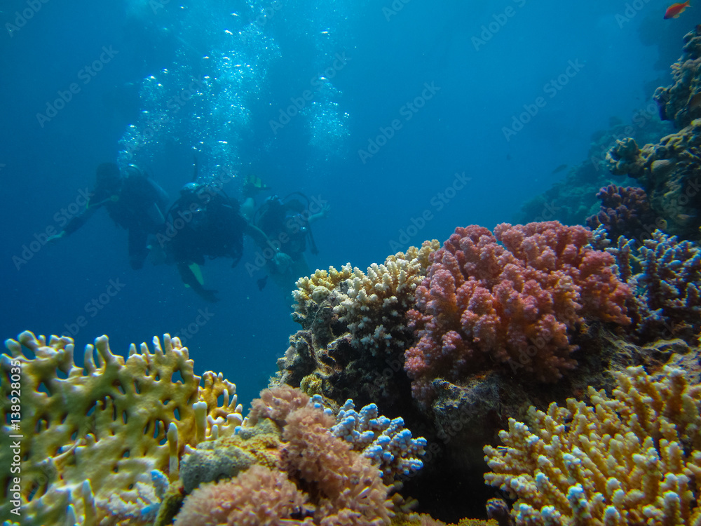 Naklejka premium Underwater shoot of people diving with scuba near beautiful colorful reef