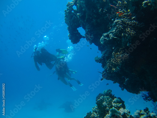 Underwater shoot of a pair of people diving with scuba near reef