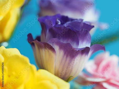 Close Up Of Colorful Flowers Blossom Background