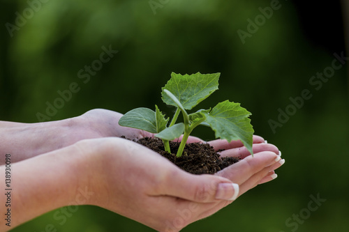 Frau hält Pflanze in der Hand