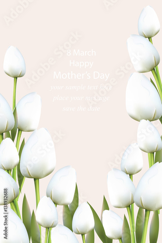White Tulips flowers blossom Vector illustration. Beautiful Spring Postcard f...