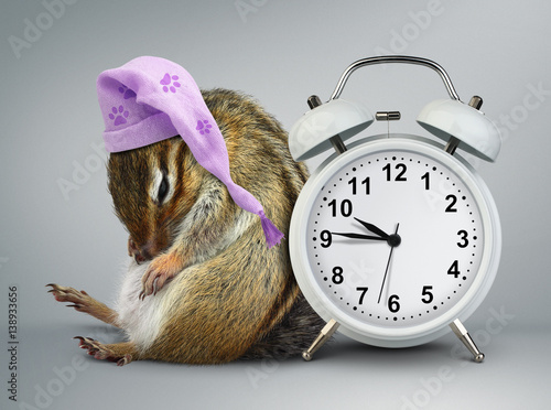 Funny animal chipmunk wakeup with clock and sleeping hat photo