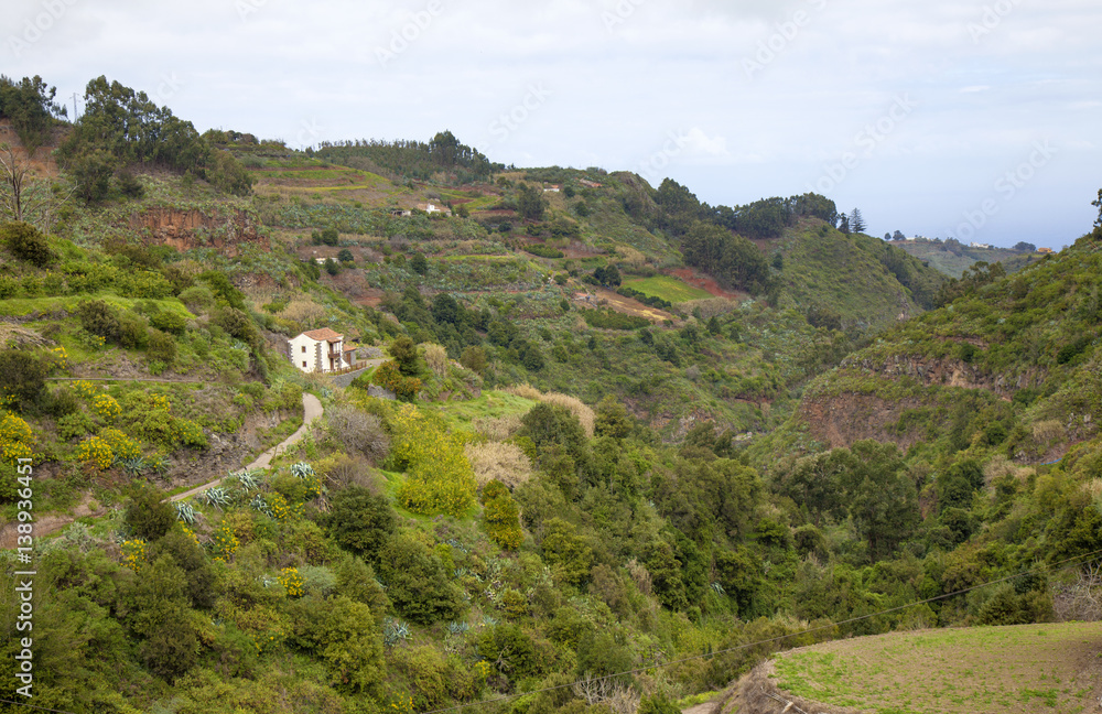 Fototapeta premium central Gran Canaria in February
