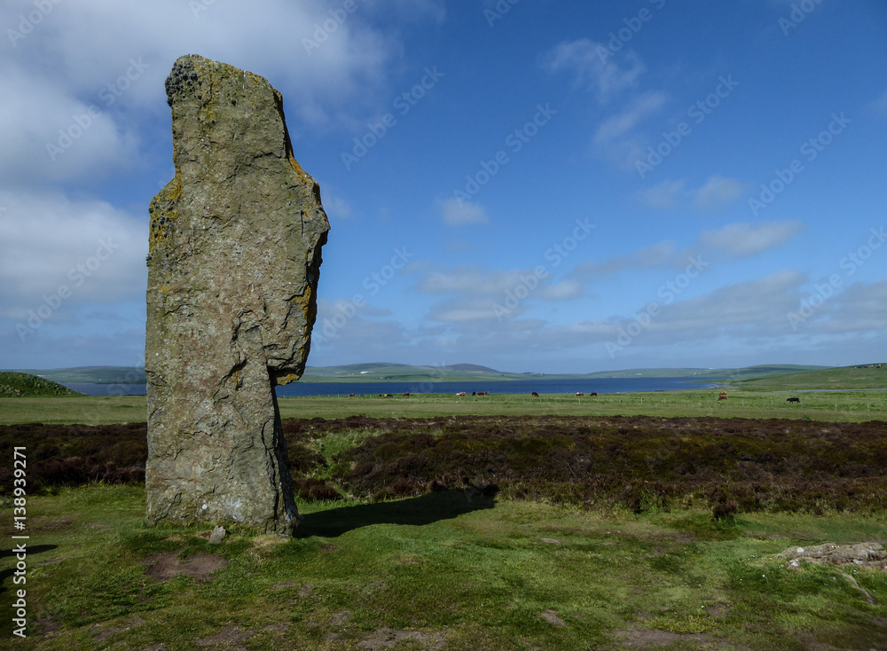 Ancient monolithic stone standing in field near ocean