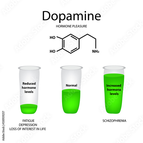 Chemical molecular formula hormone dopamine. The hormone pleasure. Lowering and raising of dopamine. Infographics Vector illustration