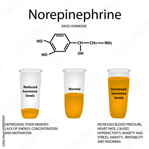Chemical molecular formula hormone norepinephrine. Hormone rage. Lowering and raising norepinephrine. Infographics. Vector illustration