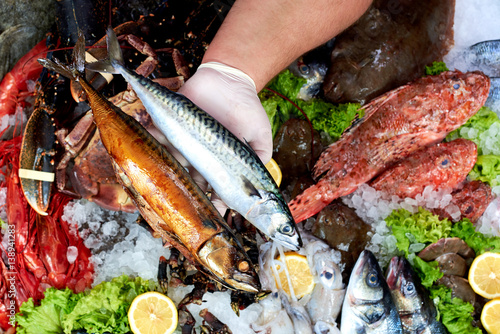 Photography Seller presenting a fresh and smoked mackerel fish in fish store