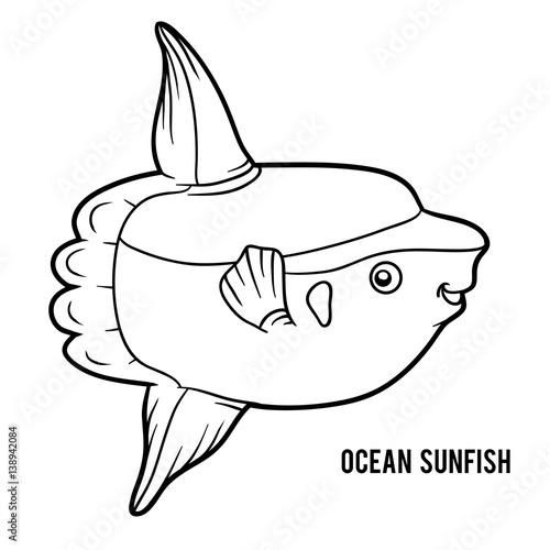 Coloring book, Ocean sunfish