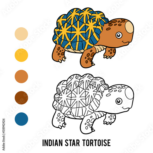 Coloring book, Indian star tortoise
