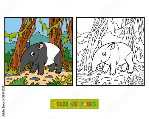 Coloring book, Malayan tapir