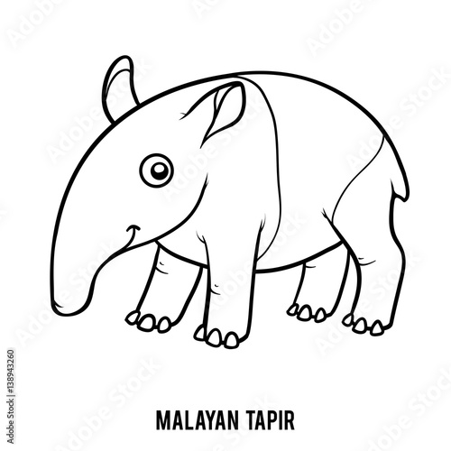 Coloring book, Malayan tapir